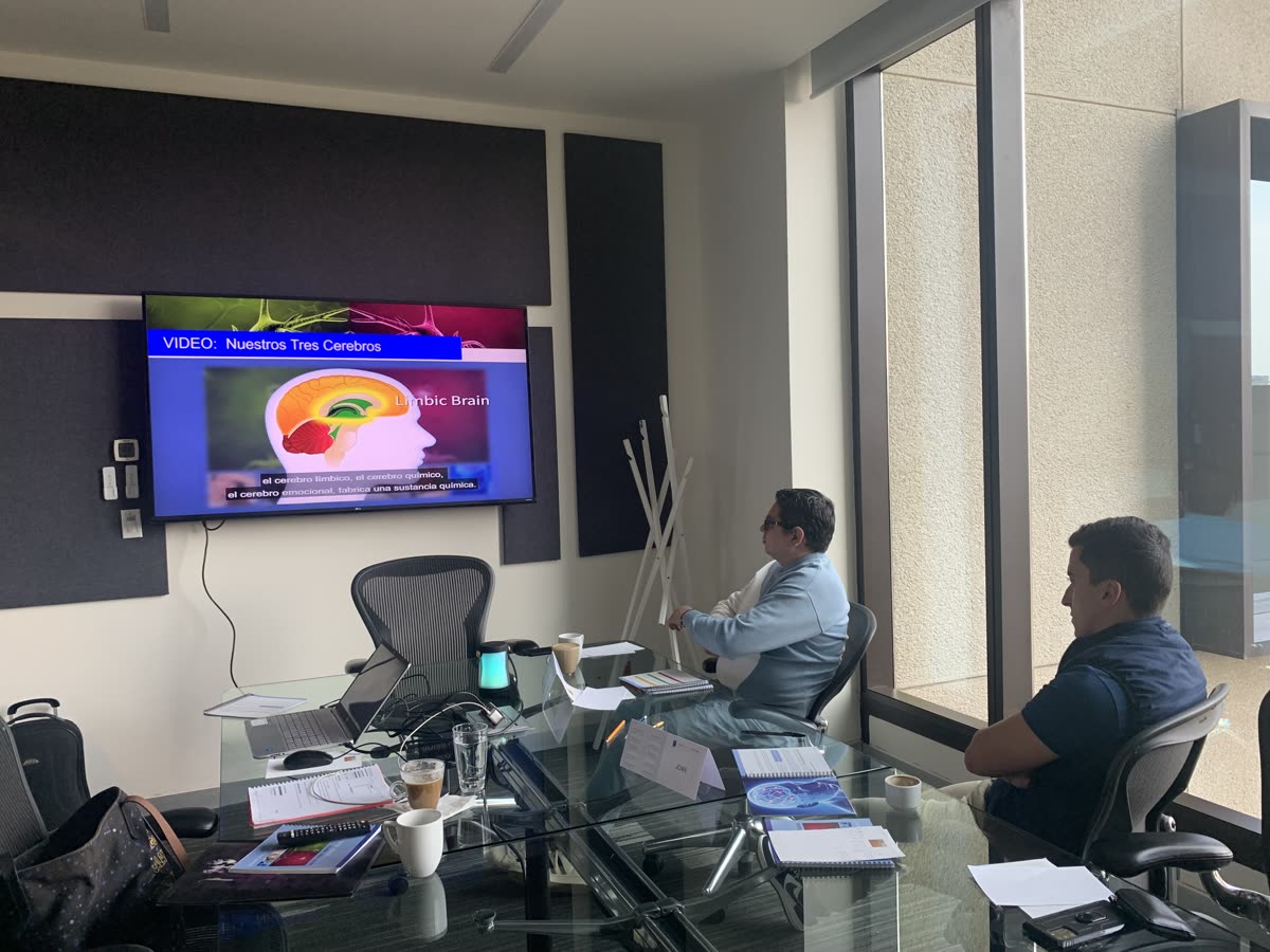 Taller Noviembre 2022, Nuestros Tres Cerebros
